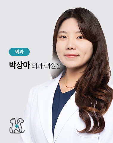 박상아