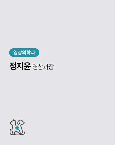 정지윤