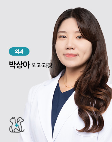 박상아